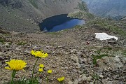 Al Lago Rotondo di Trona (2256 m) e sul Pizzo Paradiso (2493 m) il 15 luglio 2015 - FOTOGALLERY